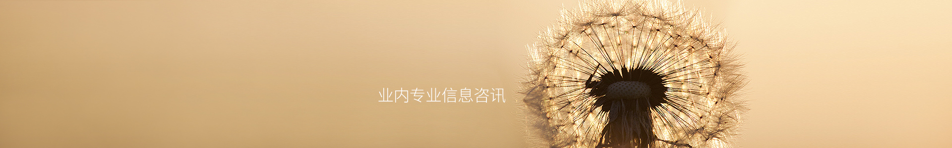投资案例
